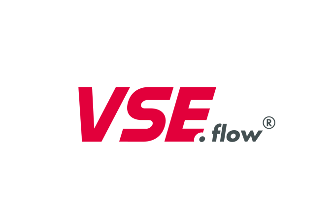 VSE.logo